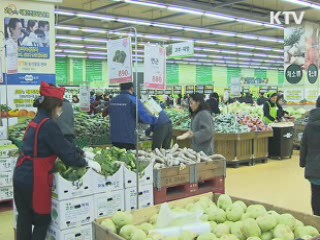 내년 설까지 생필품 물가 특별관리