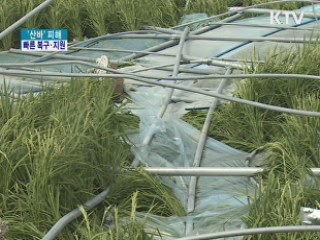 태풍 '산바' 피해···조속한 복구·지원