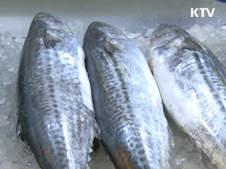 설 앞두고 비축 수산물 최대 반값 판매