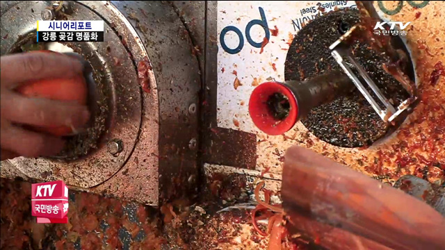 전통방식 그대로 강릉의 명품 곶감