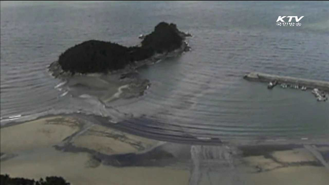 태안 해안에 물새 번식…"생태계 회복 신호"