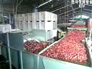 실질 내용 양보 없었다