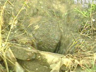 생태계 훼손 최소화