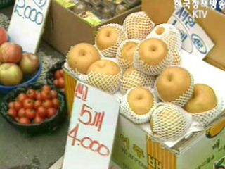 `설` 값싸고 편안하게