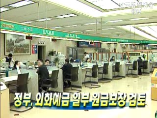 정부, 외화예금 일부 원금보장 검토