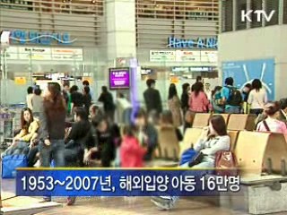 국내입양, 해외입양 추월