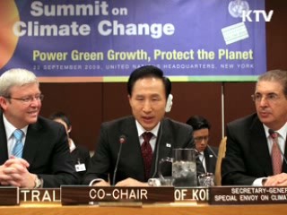 개발도상국 온실가스 자발적 감축 '제안'