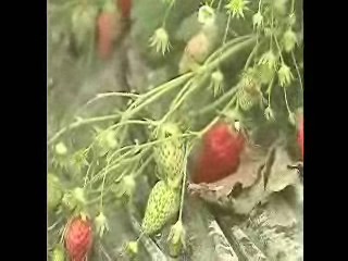 폭설피해 복구비 20억원 긴급 지원