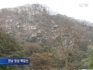 남녘 고로쇠 채취 시작