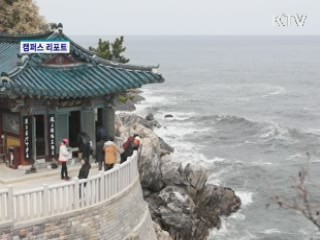 대학생들, 낙산사 나무심기 나섰다