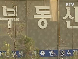 부동산 시장 큰 변화없어…'장기적 효과'
