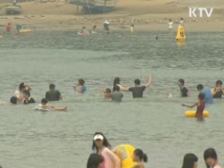 휴가철 소비자 속인 펜션·렌터카 적발