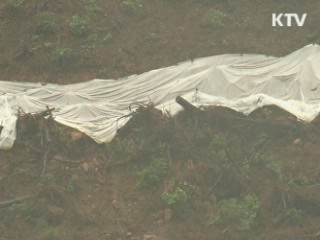 14호 태풍 '덴빈' 5명 사상…이재민 119명