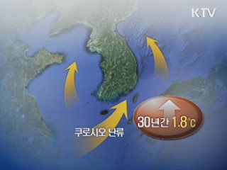 올해 태풍 4차례…잦은 태풍 원인은?