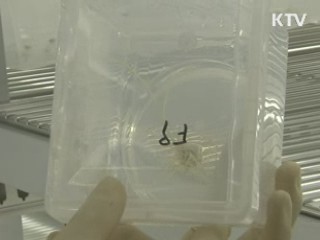 내년 농식품 물가안정 예산 대폭 확대