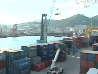 불공정거래, `꼼짝 마`