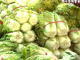 고품질 농산물 공급