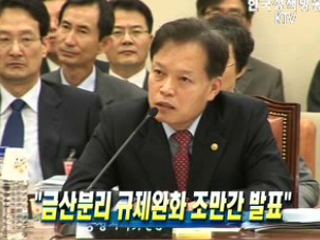 금산분리 규제완화 조만간 발표