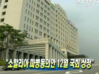 소말리아 파병동의안 12월 국회 상정