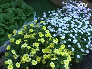 미래형 '도시농업' 활용사례 한자리에