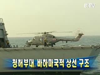 청해부대, 바하마국적 상선 구조