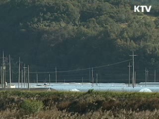 낙동강 살리기 - 지역여론을 듣는다