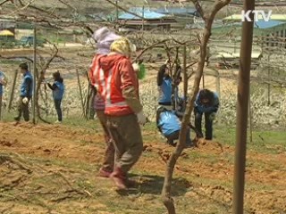 자원 민방위대 3만명 창설