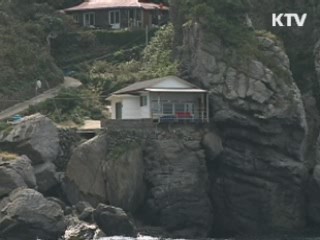 울릉도 '녹색섬' 사업 본격 추진