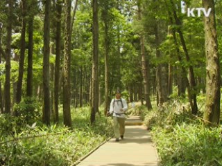 '한라산 둘레길' 첫선···3월 부분 개통