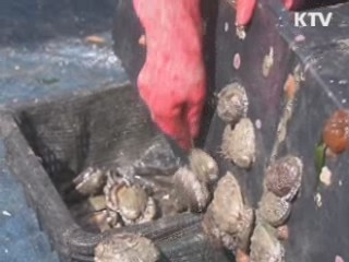 FTA 시대, 수산물 수출 집중 육성