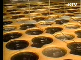 靑, "북, 경수로 지원 논의 단계 아니다"