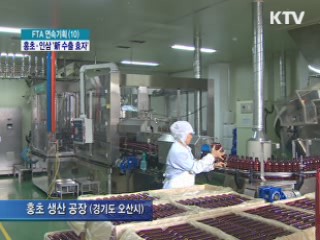 홍초·인삼 새 수출 효자 품목 등극