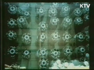 IAEA "북한, 경수로 건설 상당한 진척"