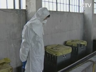 정부 "북한, 한반도 비핵화 공동선언 이행해야"