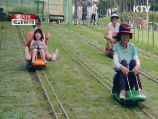 물 맑은 양평서 들꽃 감상하세요 [국민리포트]