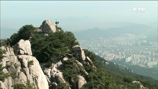 멸종위기종 '삵' 북한산 서식 첫 확인