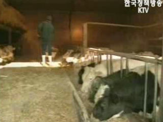 농림부, 美 광우병 평가 의견 OIE 제출