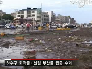 풍수해 예방 대청결운동 실시