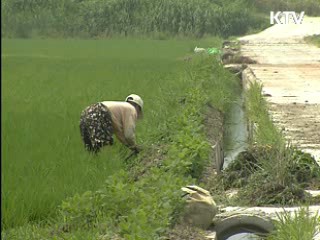 '농지연금' 2011년부터 도입