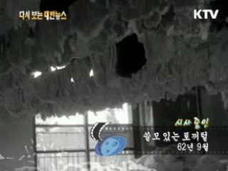 쓸모 있는 토끼털(62')