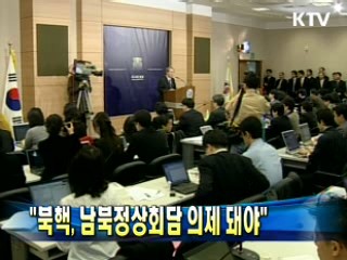 유명환 장관 "북핵, 남북정상회담 의제 돼야"
