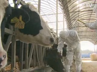 오늘 오전 구제역 관련 대국민 담화문 발표