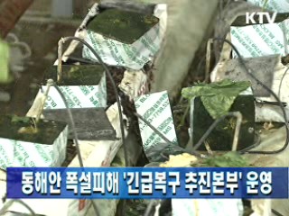 동해안 폭설피해 '긴급복구추진본부' 운영