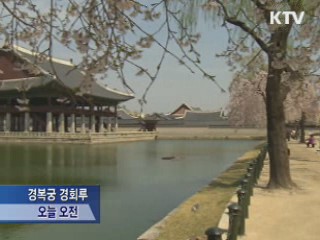 5대궁에 봄꽃 나들이 오세요