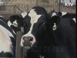 정부, 미국산 쇠고기 '검역 강화' 조치