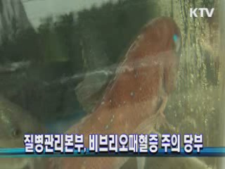 질병관리본부, 비브리오패혈증 주의 당부