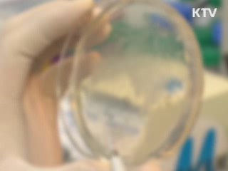 서울대 "줄기세포 논문, 오류·조작 판단할 것"