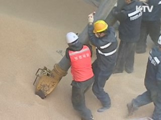 국제 곡물값 급등…국내 영향 선제적 차단