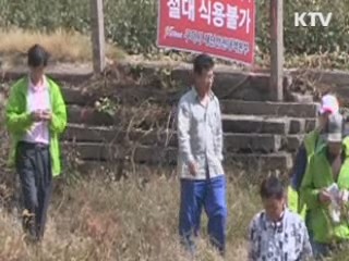 불산 누출 지역 특별재난지역 선포