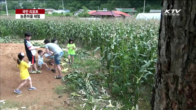 휴가철 농촌마을 체험…"재미있어요" [국민리포트]